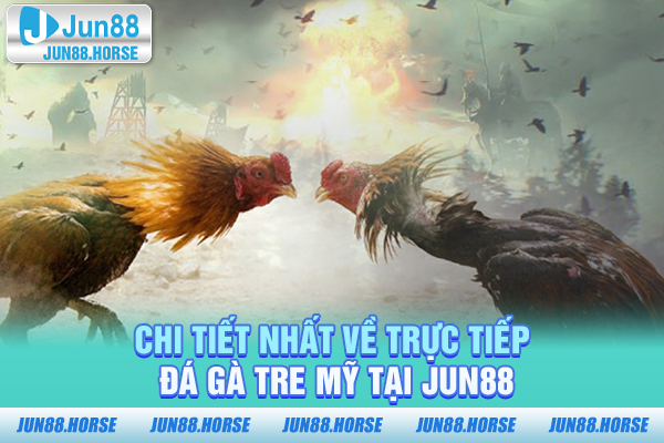 Chi tiết nhất về trực tiếp đá gà tre Mỹ tại JUN88
