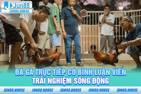Đá Gà Trực Tiếp Có Bình Luận Viên – Trải Nghiệm Sống Động
