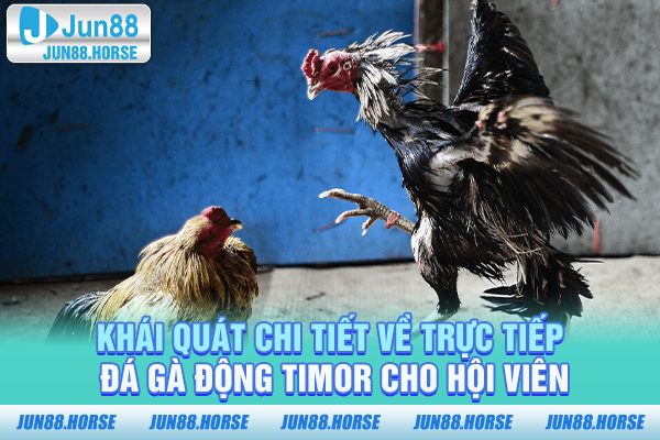 Khái quát chi tiết về trực tiếp đá gà động TIMOR cho hội viên